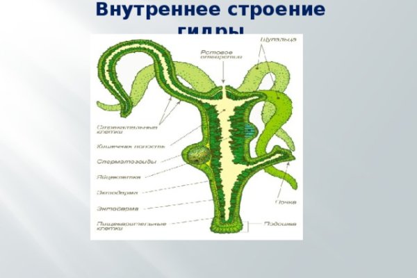 Кракен доставка